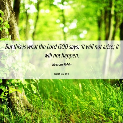 Picture 06 - Isaiah 7:7 BSB - But this is what the Lord GOD says: ‘It will - Bible Verse Picture