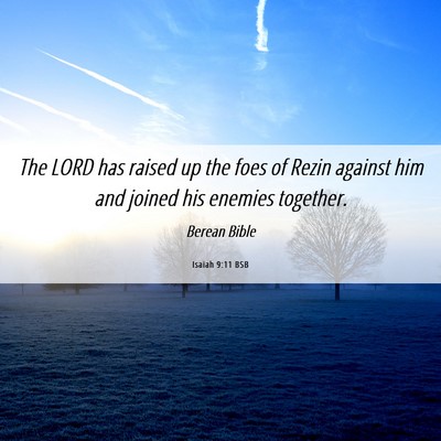 Picture 06 - Isaiah 9:11 BSB - The LORD has raised up the foes of Rezin against - Bible Verse Picture