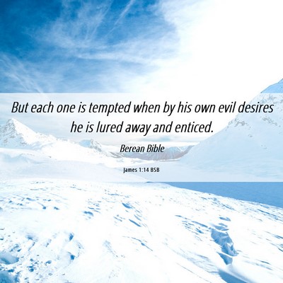 Picture 06 - James 1:14 BSB - But each one is tempted when by his own evil - Bible Verse Picture
