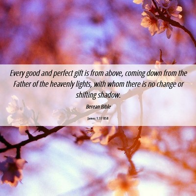 Picture 06 - James 1:17 BSB - Every good and perfect gift is from above, coming - Bible Verse Picture