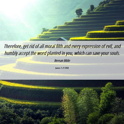 Picture 06 - James 1:21 BSB - Therefore, get rid of all moral filth and every - Bible Verse Picture