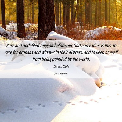Picture 06 - James 1:27 BSB - Pure and undefiled religion before our God and - Bible Verse Picture