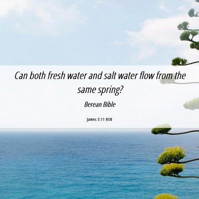 Picture 06 - James 3:11 BSB - Can both fresh water and salt water flow from the - Bible Verse Picture