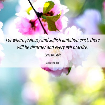 Picture 06 - James 3:16 BSB - For where jealousy and selfish ambition exist, - Bible Verse Picture