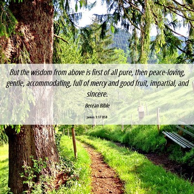 Picture 06 - James 3:17 BSB - But the wisdom from above is first of all pure, - Bible Verse Picture