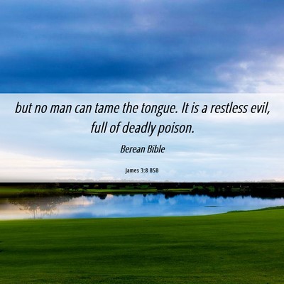 Picture 06 - James 3:8 BSB - but no man can tame the tongue. It is a restless - Bible Verse Picture