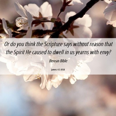 Picture 06 - James 4:5 BSB - Or do you think the Scripture says without reason - Bible Verse Picture