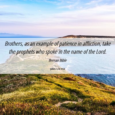 Picture 06 - James 5:10 BSB - Brothers, as an example of patience in - Bible Verse Picture