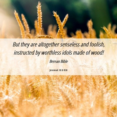 Picture 06 - Jeremiah 10:8 BSB - But they are altogether senseless and foolish, - Bible Verse Picture