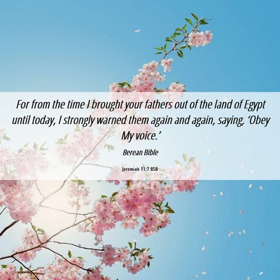 Picture 06 - Jeremiah 11:7 BSB - For from the time I brought your fathers out of - Bible Verse Picture