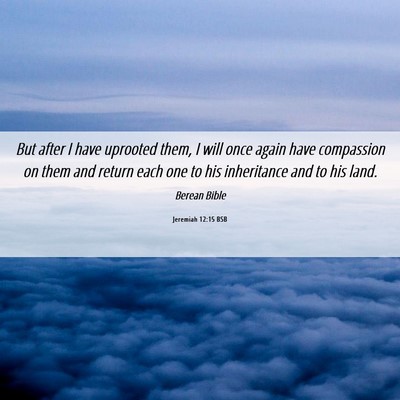 Picture 06 - Jeremiah 12:15 BSB - But after I have uprooted them, I will once again - Bible Verse Picture