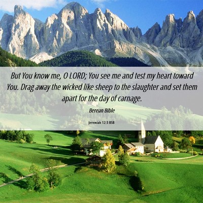 Picture 06 - Jeremiah 12:3 BSB - But You know me, O LORD; You see me and test my - Bible Verse Picture