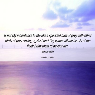 Picture 06 - Jeremiah 12:9 BSB - Is not My inheritance to Me like a speckled bird - Bible Verse Picture