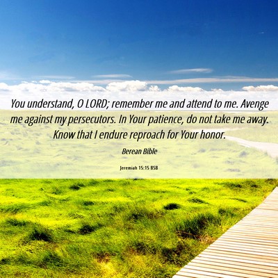 Picture 06 - Jeremiah 15:15 BSB - You understand, O LORD; remember me and attend to - Bible Verse Picture