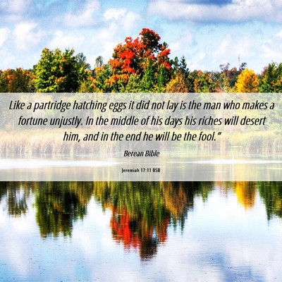 Picture 06 - Jeremiah 17:11 BSB - Like a partridge hatching eggs it did not lay is - Bible Verse Picture