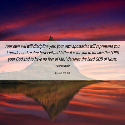 Picture 06 - Jeremiah 2:19 BSB - Your own evil will discipline you; your own - Bible Verse Picture