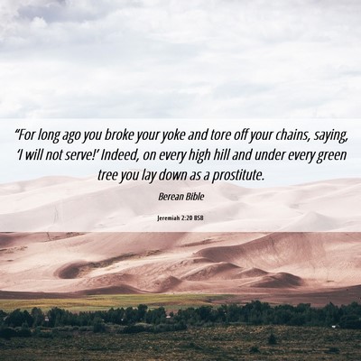 Picture 06 - Jeremiah 2:20 BSB - “For long ago you broke your yoke and tore off - Bible Verse Picture