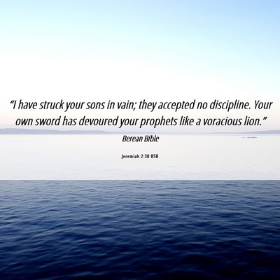 Picture 06 - Jeremiah 2:30 BSB - “I have struck your sons in vain; they accepted - Bible Verse Picture