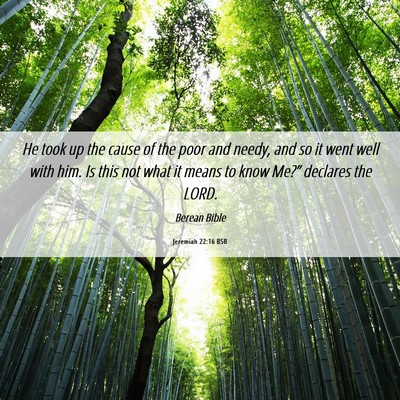 Picture 06 - Jeremiah 22:16 BSB - He took up the cause of the poor and needy, and - Bible Verse Picture