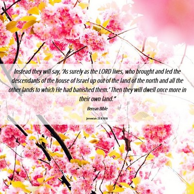 Picture 06 - Jeremiah 23:8 BSB - Instead they will say, ‘As surely as the LORD - Bible Verse Picture