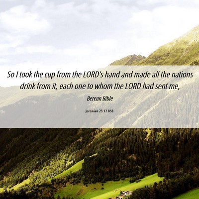 Picture 06 - Jeremiah 25:17 BSB - So I took the cup from the LORD’s hand and made - Bible Verse Picture