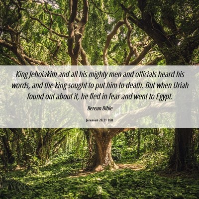 Picture 06 - Jeremiah 26:21 BSB - King Jehoiakim and all his mighty men and - Bible Verse Picture