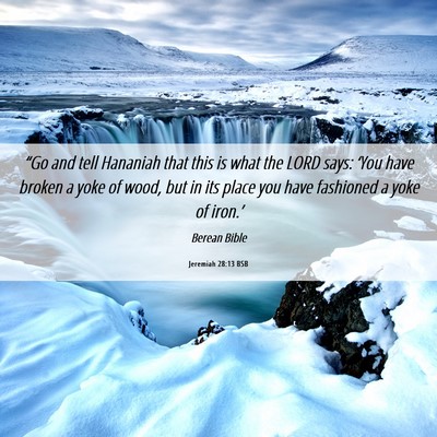 Picture 06 - Jeremiah 28:13 BSB - “Go and tell Hananiah that this is what the - Bible Verse Picture
