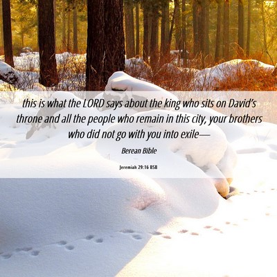 Picture 06 - Jeremiah 29:16 BSB - this is what the LORD says about the king who - Bible Verse Picture
