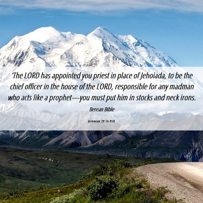 Picture 06 - Jeremiah 29:26 BSB - ‘The LORD has appointed you priest in place of - Bible Verse Picture
