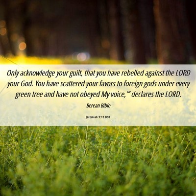 Picture 06 - Jeremiah 3:13 BSB - Only acknowledge your guilt, that you have - Bible Verse Picture