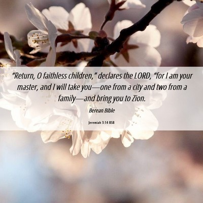 Picture 06 - Jeremiah 3:14 BSB - “Return, O faithless children,” declares the - Bible Verse Picture