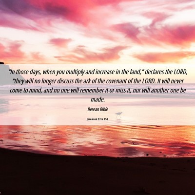 Picture 06 - Jeremiah 3:16 BSB - “In those days, when you multiply and increase - Bible Verse Picture