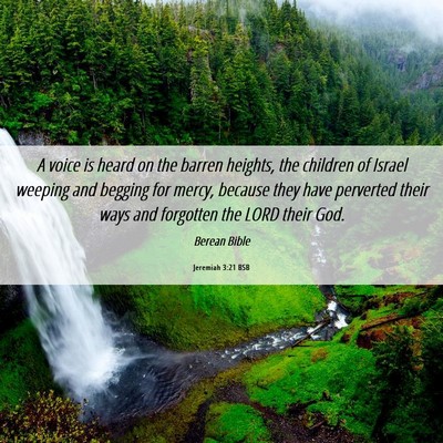 Picture 06 - Jeremiah 3:21 BSB - A voice is heard on the barren heights, the - Bible Verse Picture
