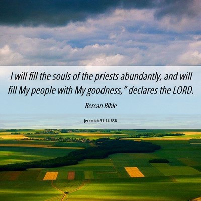 Picture 06 - Jeremiah 31:14 BSB - I will fill the souls of the priests abundantly, - Bible Verse Picture