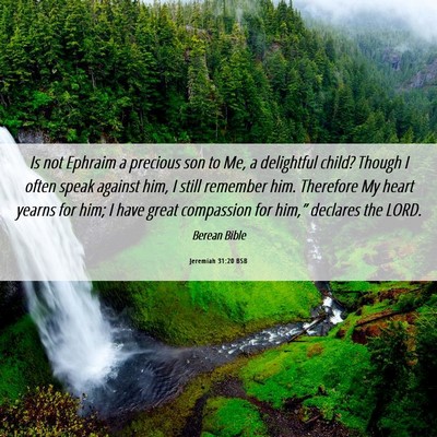 Picture 06 - Jeremiah 31:20 BSB - Is not Ephraim a precious son to Me, a delightful - Bible Verse Picture