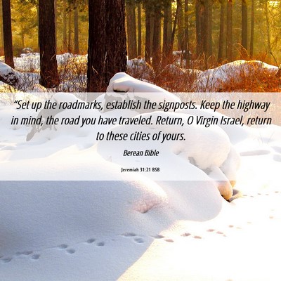 Picture 06 - Jeremiah 31:21 BSB - “Set up the roadmarks, establish the signposts. - Bible Verse Picture