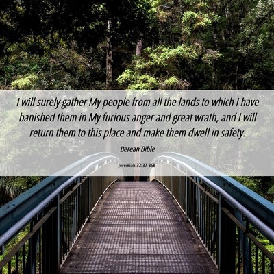 Picture 06 - Jeremiah 32:37 BSB - I will surely gather My people from all the lands - Bible Verse Picture