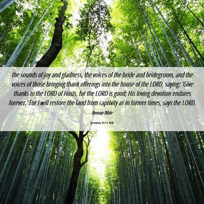 Picture 06 - Jeremiah 33:11 BSB - the sounds of joy and gladness, the voices of the - Bible Verse Picture