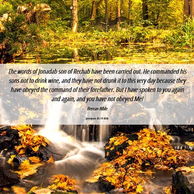 Picture 06 - Jeremiah 35:14 BSB - The words of Jonadab son of Rechab have been - Bible Verse Picture