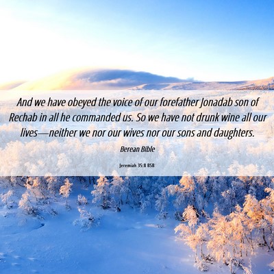 Picture 06 - Jeremiah 35:8 BSB - And we have obeyed the voice of our forefather - Bible Verse Picture