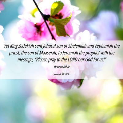 Picture 06 - Jeremiah 37:3 BSB - Yet King Zedekiah sent Jehucal son of Shelemiah - Bible Verse Picture