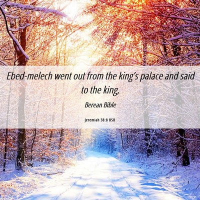 Picture 06 - Jeremiah 38:8 BSB - Ebed-melech went out from the king’s palace and - Bible Verse Picture