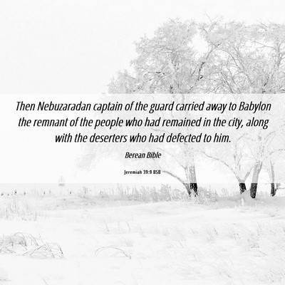 Picture 06 - Jeremiah 39:9 BSB - Then Nebuzaradan captain of the guard carried - Bible Verse Picture