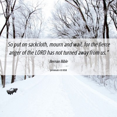 Picture 06 - Jeremiah 4:8 BSB - So put on sackcloth, mourn and wail, for the - Bible Verse Picture