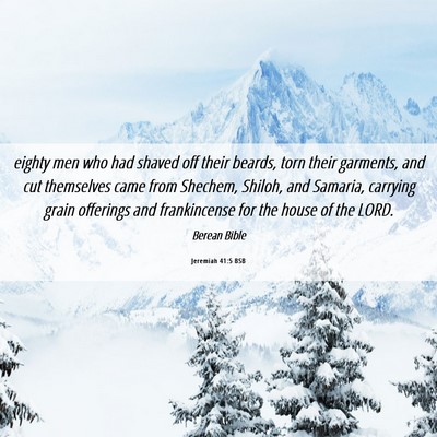 Picture 06 - Jeremiah 41:5 BSB - eighty men who had shaved off their beards, torn - Bible Verse Picture