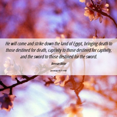 Picture 06 - Jeremiah 43:11 BSB - He will come and strike down the land of Egypt, - Bible Verse Picture