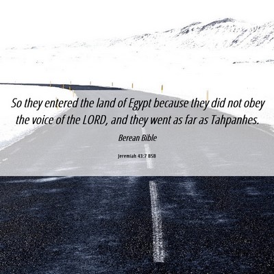 Picture 06 - Jeremiah 43:7 BSB - So they entered the land of Egypt because they - Bible Verse Picture