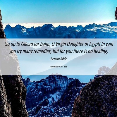 Picture 06 - Jeremiah 46:11 BSB - Go up to Gilead for balm, O Virgin Daughter of - Bible Verse Picture