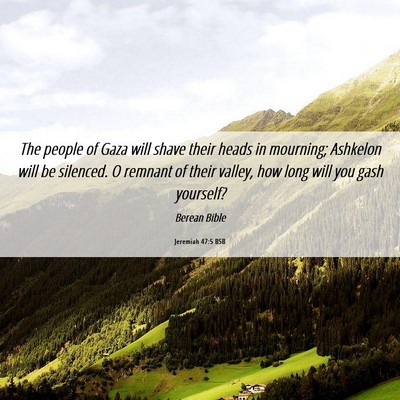 Picture 06 - Jeremiah 47:5 BSB - The people of Gaza will shave their heads in - Bible Verse Picture