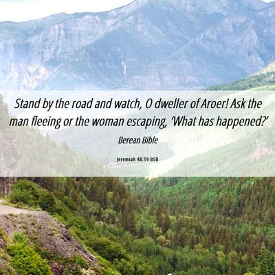 Picture 06 - Jeremiah 48:19 BSB - Stand by the road and watch, O dweller of Aroer! - Bible Verse Picture